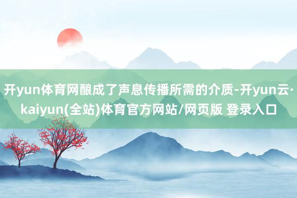 开yun体育网酿成了声息传播所需的介质-开yun云·kaiyun(全站)体育官方网站/网页版 登录入口